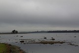 ...auch der Blick in die andere Richtung - das Wasser war ziemlich weit zurück und offenbarte einige Eindrücke - hier ein Versuch? … wohl eher nicht bei dieser Tour. Das schien mir doch prädestiniert und besser geeignet für Ende Februar, oder Anfang März.