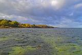 Wenn die Sonne zwischendurch mal etwas Platz zwischen den Wolken fand, dann sahen nicht nur die herbstlichen Bäume am Strand richtig gut aus. Auch die Sandflecken unter der Wasseroberfläche schienen richtig zu leuchten.