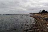 Während wir den Strand verliessen, tauchten andere Kollegen gerade jetzt erst auf. Es gab sogar Fisch, wie wir beobachten konnten. Aik und ich plauschten noch ein wenig, bevor wir uns verabschiedeten. Hoffentlich das nächste Treffen wieder etwas zeitnaher. Aik kontaktierte am gleichen Tag noch das Geomar Institut in Kiel, um die Daten des gefangenen Fisches durchzugeben. Daraus entwickelte sich ein sehr interessanter Mailverkehr. Die Fischereiabgabe in Schleswig Holstein wird nicht nur zu einem Teil für die Nachzucht der Salmoniden genutzt, sondern auch um deren Wanderverhalten zu dokumentieren, wie der Bericht von Geomar es uns zeigt. Hier nachzulesen