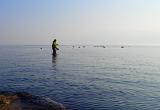 ….ausgeschlafen, reichhaltiges Frühstück…..kann losgehen. Ab an den Hausstrand. Bestes „Mützenwetter“, ganz leichter Wind und angenehme Temperaturen. Naja….und Timos „Freunde“ waren auch wieder am Start. Also fleissig die Fliegen auf die Reise geschickt und auf hungrige Abnehmer warten…..