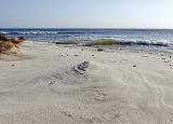 Noch einmal wechselten wir den Strand. Die südlichen Sandstrände zogen uns an. Der Wind fegte über den Sand und formte an einigen Stellen in paar tolle Formationen. Das leichte Gesichtspeeling war hier inclusive... naja....und Kaugummi kann tatsächlich knirschen....