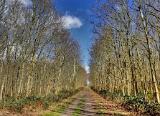 Zurück durch den Wald in Richtung Auto. Zunächst haben wir den Müll im Auto verstaut und anschließend ein Mittagsbrötchen verzehrt.