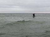 Jens mit vollem Einsatz und sauberem Doppelzug in der Welle. Der Grund hat hier in den letzten Jahren einen heftigen "Zulauf" an Sand gehabt und die Stein-, oder Blasentangflecken sind echt seltener geworden. Trotzdem, oder vielleicht gerade deshalb, sind doch Fische unterwegs gewesen.