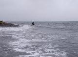 ...und es wurde noch besser. Wind, Welle, Strömung und sogar Schweinswale auf der Jagd. Anspruchsvolles werfen und jede Menge Nahrung im Wasser....