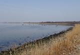 Ran ans Ufer und einen kurzen Blick zurück. Nun ging es „um die Ecke“ in Richtung nächster Bucht. Inzwischen war auch Timo am Wasser und wir tauschten uns kurz per Handy aus. An Ihrem Spot waren Fische unterwegs und tatsächlich durfte auch schon einer etwas frische Luft schnuppern. Nun denn….. ich machte weiter und fischte mich in Richtung der nächsten Bucht weiter. Am Ende meiner Strecke konnte ich zwar den Wagen der Drei im Sonnenlicht erkennen, aber für mehr war die Entfernung dann doch etwas zu gross. Ich machte Mittagspause und beschloss die Kollegen „abzuholen“