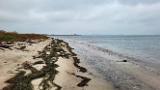 Der Wind war zurück, jetzt aus Südost. Also ein windschattiges Plätzchen gesucht. Weit und breit keine Menschenseele…. wie fast die ganze Woche…naja, bei dem Wetter vielleicht auch kein Wunder. Wenig Bewegung im Wasser, relativ klar, aber der Wasserstand war recht hoch. Bester Dinge legte ich los.