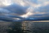 Im Laufe des Vormittags liessen die Winböen langsam etwas nach. Allerdings drehte der Wind auf nordwestliche - und somit seitliche - Richtung. Die Wolken rissen immer häufiger auf und die Sonne zeigte sich ganz zaghaft. Nach zwei weiteren Kontakten, ging meine Fliege leider verlustig. Die Schlaufe war einfach durchgescheuert. Entweder ist mein Vorfachmaterial zu schlecht, oder altersbedingt haben sich scharfe Kanten am Hakenöhr gebildet. Keine Ahnung....