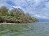 Es wurde Zeit den Strand in der Nähe der Ferienhütte zu besuchen. Die vergangenen Stürme haben hier leider ganze Arbeit geleistet. Die dicht unter Land liegende erste Rinne war immer sehr ausgeprägt, ist nun leider nicht mehr vorhanden. Vereinzelte Blasentangbüschel sind noch da, aber kein Vergleich zu vorher. Der Wald hat auch reichlich gelitten und viel Bruchholz am Ufer und im Wasser. Dazu viel Sand am Grund, kaum Strömung und heute eine merkwürdige Trübung. Da wir keinen auflandigen Sturm hatten, tippte ich auf Sedimentauswaschung wegen des hohen Wasserstands. Auf jeden Fall ging hier heute gar nichts. Zeit die Hütte zu beziehen.